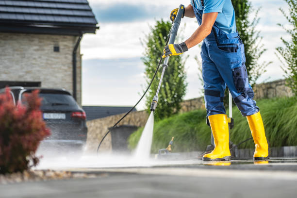 Best Local Pressure Washing Services  in Wilkinsburg, PA